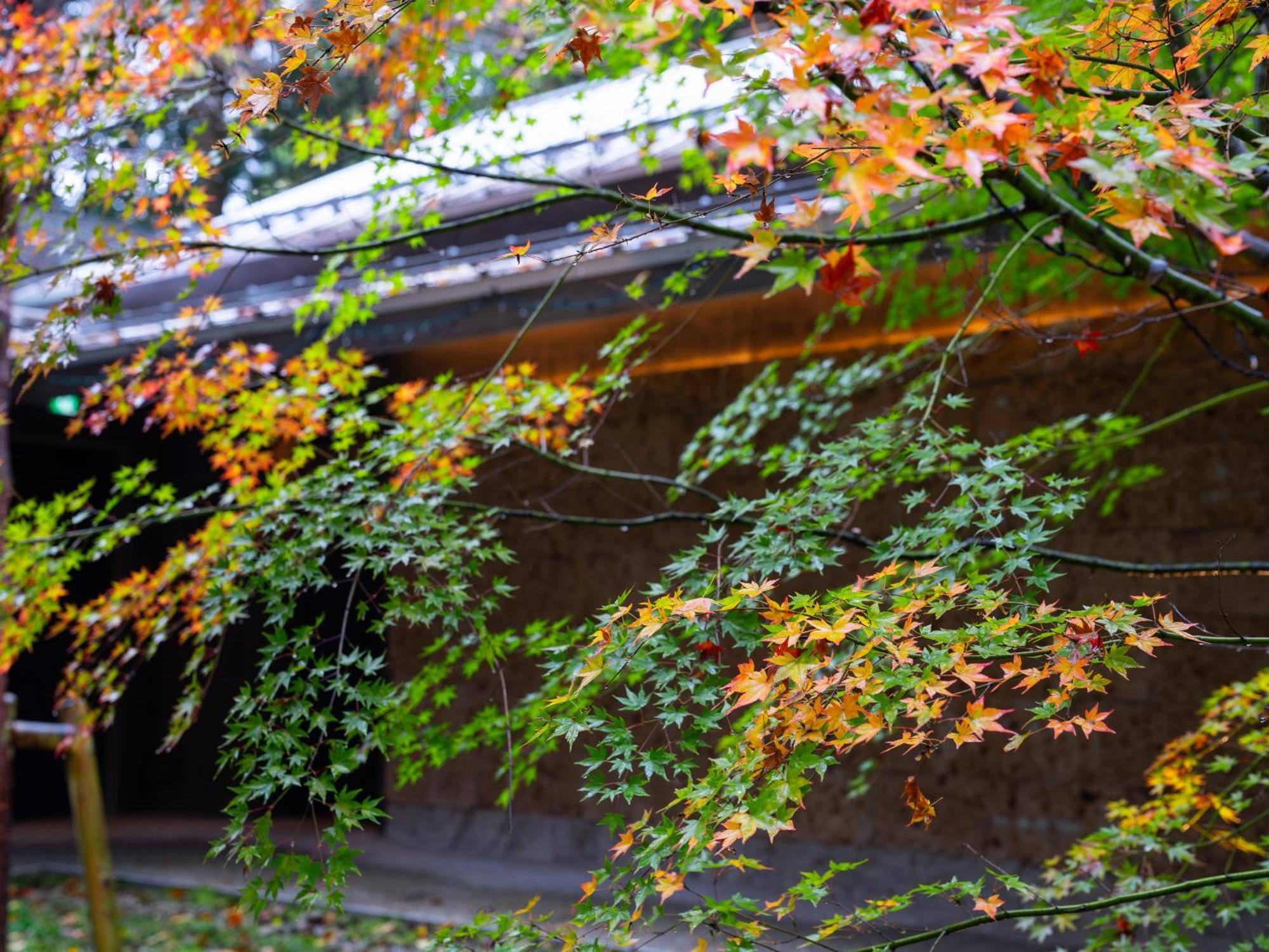 Nikko Nishimachi Club Hotel Kültér fotó